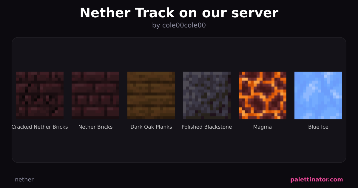 Nether Track on our server